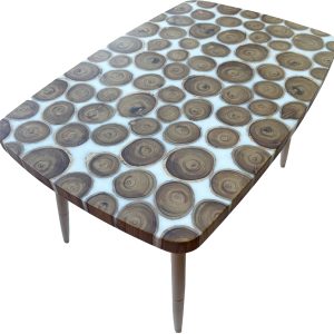 epoxy miza in les nagnoj